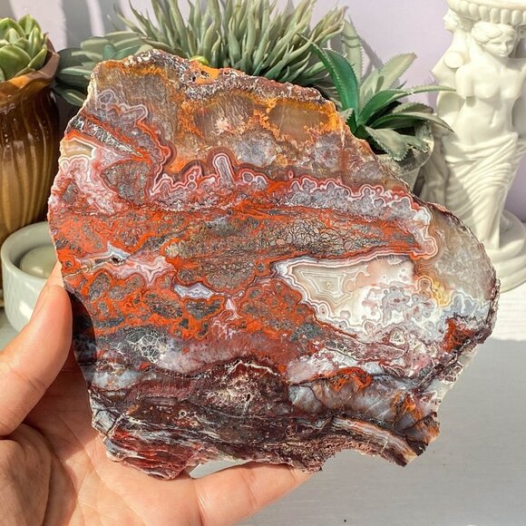 Natural Mexican Crazy Lace Agate Slab - Picture 6 of 10